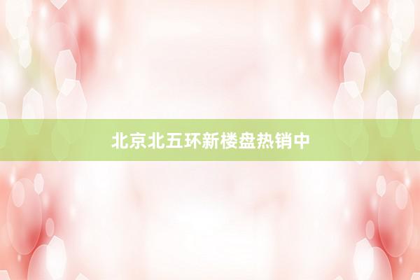 北京北五环新楼盘热销中